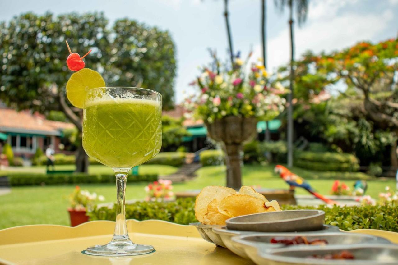 Las Mananitas Cuernavaca Dış mekan fotoğraf