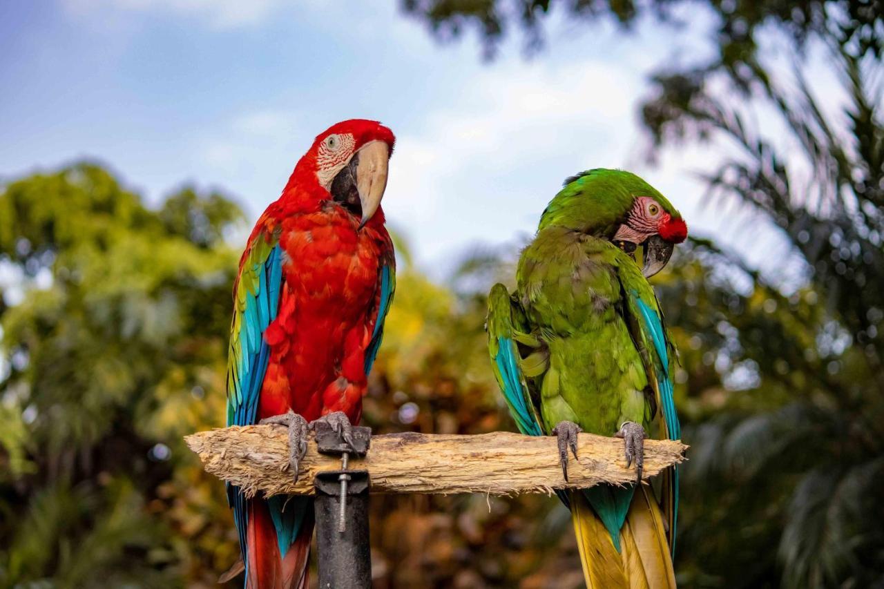 Las Mananitas Cuernavaca Dış mekan fotoğraf