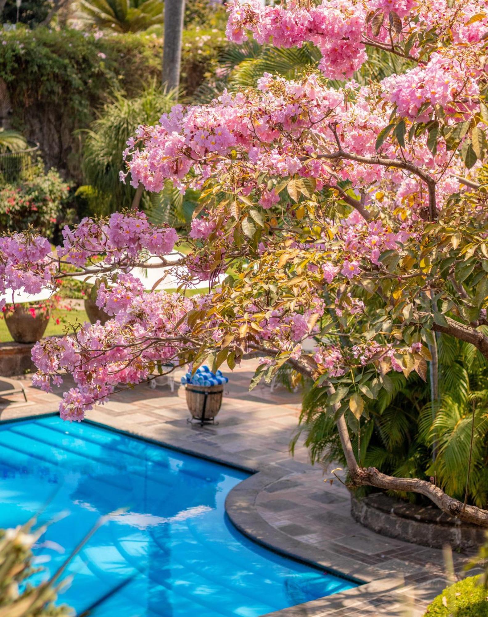 Las Mananitas Cuernavaca Dış mekan fotoğraf